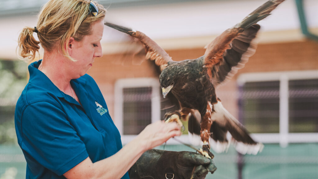 Education Virginia Zoo in Norfolk