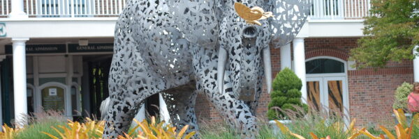 The Art of the Zoo - Virginia Zoo in Norfolk