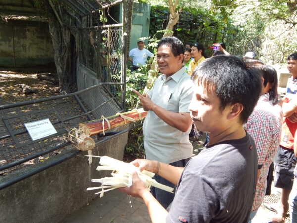Discussing warty pig enrichment