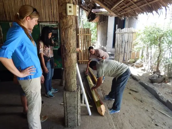 Making warty pig enrichment, 1
