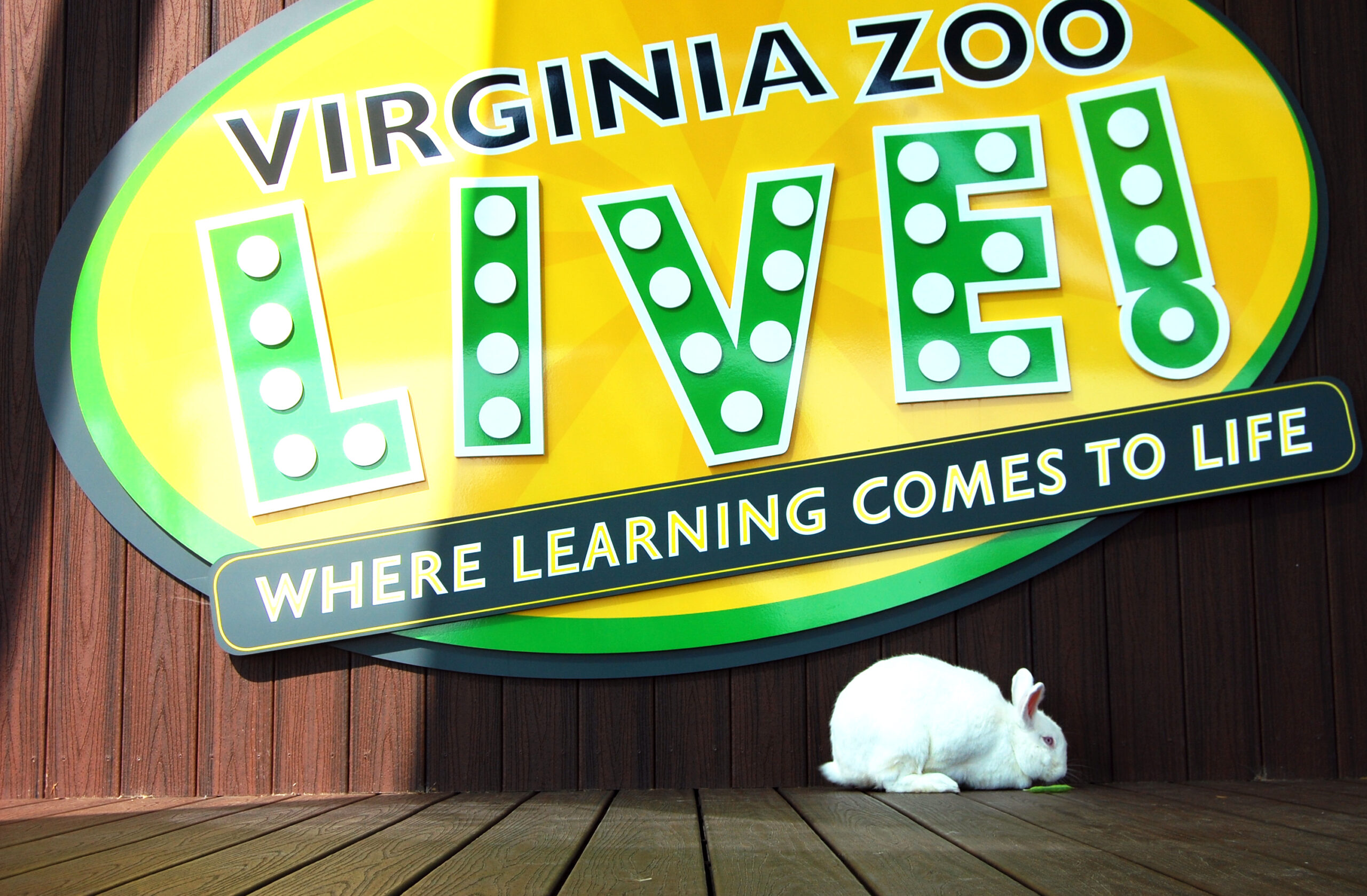 Visit The Virginia Zoo Animals Today visit-the-virginia-zoo-animals-today