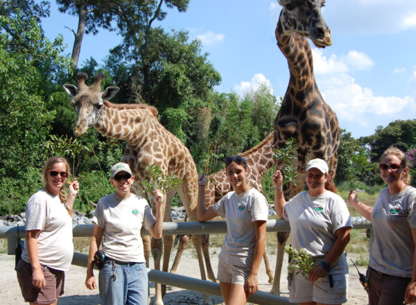 Meet the Africa Team - Virginia Zoo in Norfolk