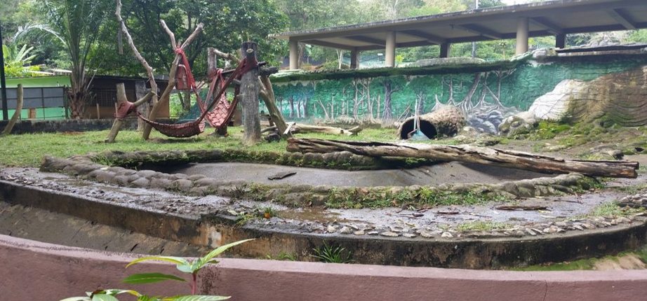 A Zoo Keeper's Trip to Malaysia - Virginia Zoo in Norfolk