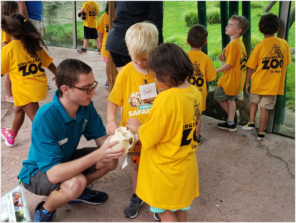 Visit The Virginia Zoo Animals Today visit-the-virginia-zoo-animals-today