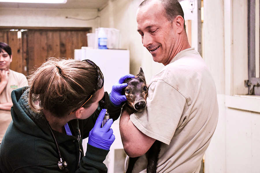 Animal Services Internships Virginia Zoo In Norfolk