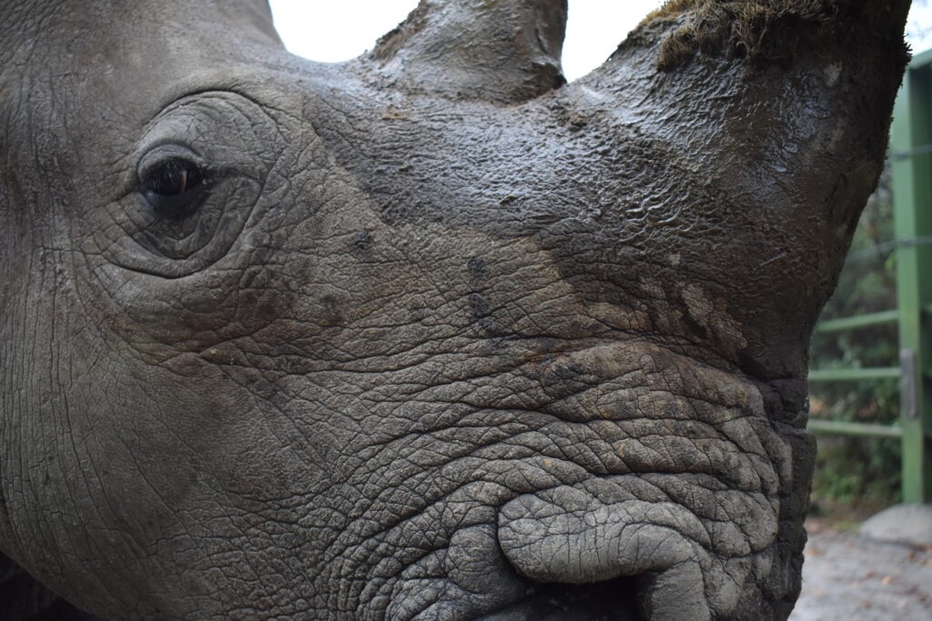 Visit the Virginia Zoo Animals Today!