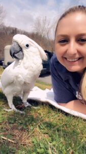 woman next to white cockatoo