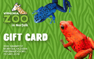 Virginia Zoo Gift Card with frogs