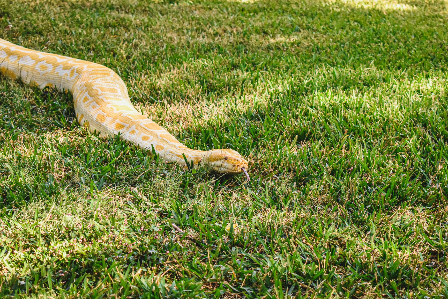 Visit the Virginia Zoo Animals Today!