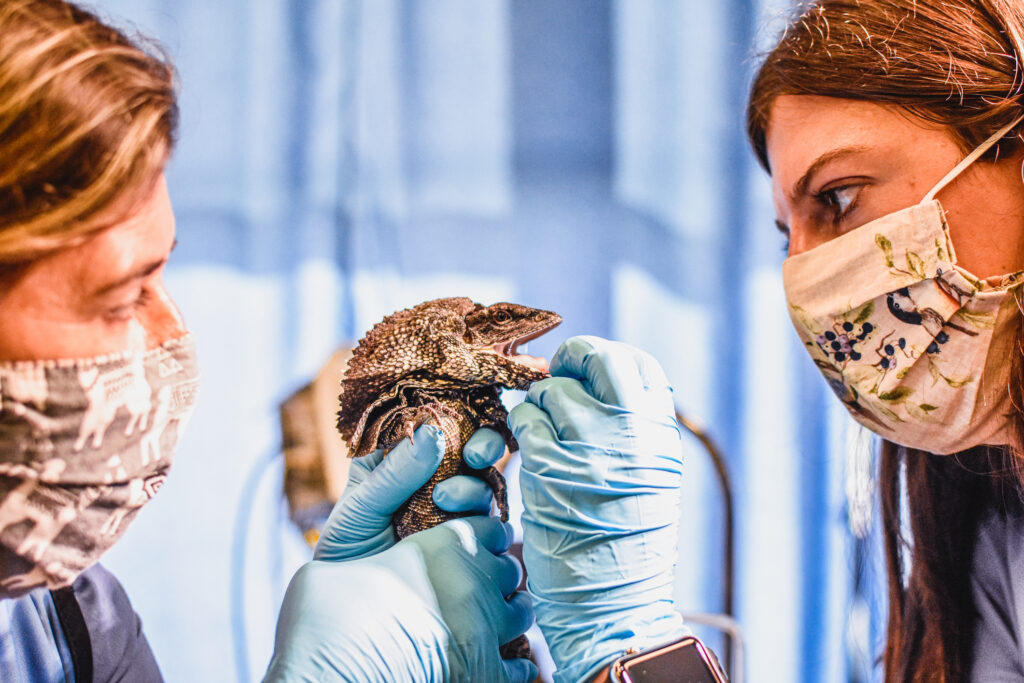 Meet the Zoo's New Vet! Virginia Zoo in Norfolk