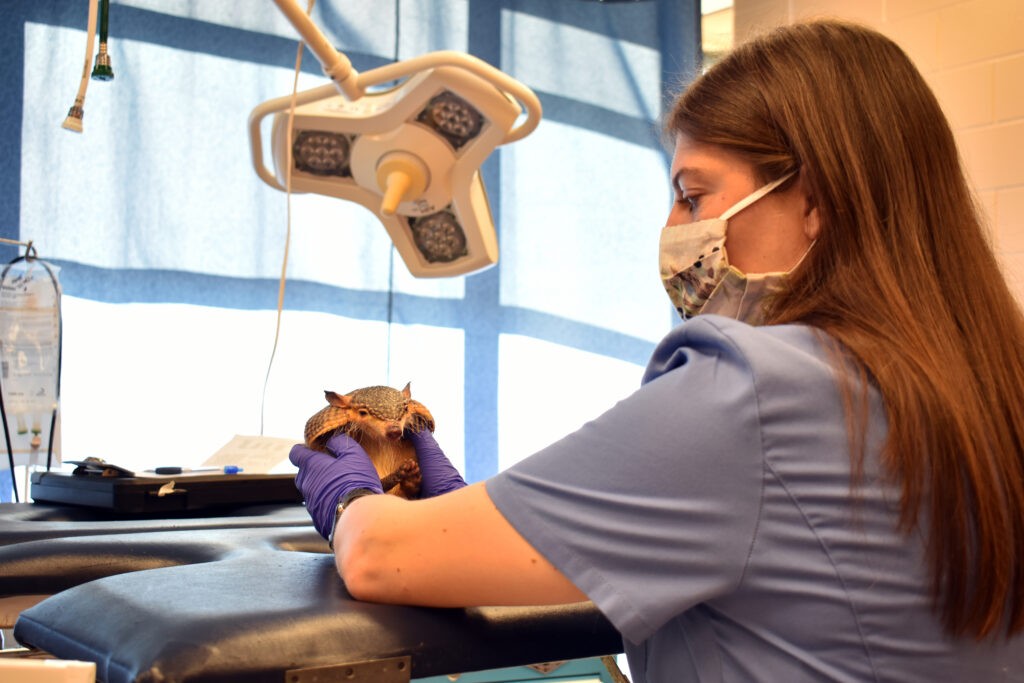 Meet the Zoo's New Vet! Virginia Zoo in Norfolk