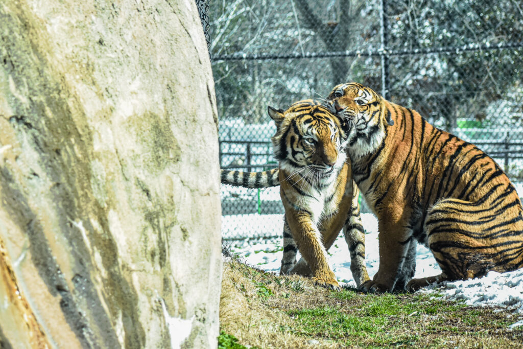 virginia zoo military discount