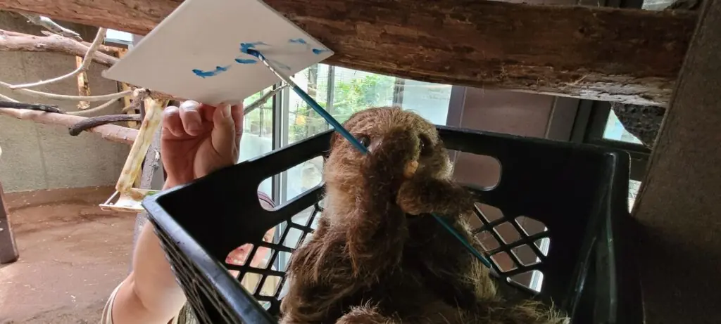sloth using paintbrush to paint on canvas