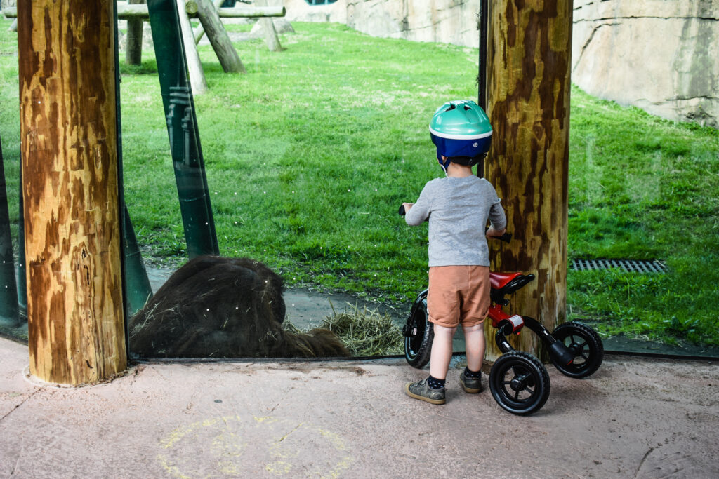 Bike Night Virginia Zoo