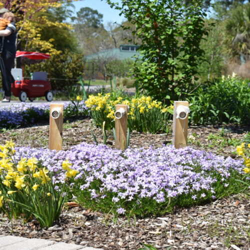 mason bee house in garden