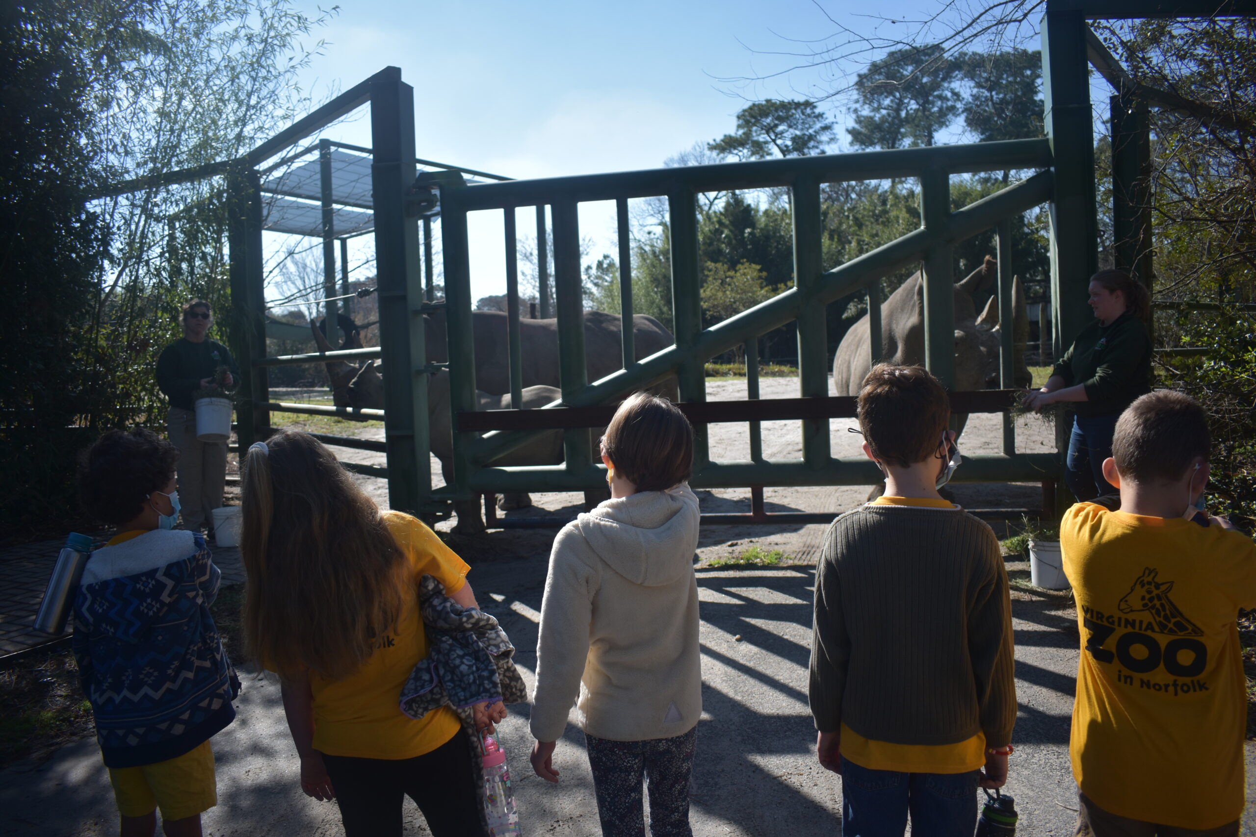 Spring Break Safari Camp Virginia Zoo