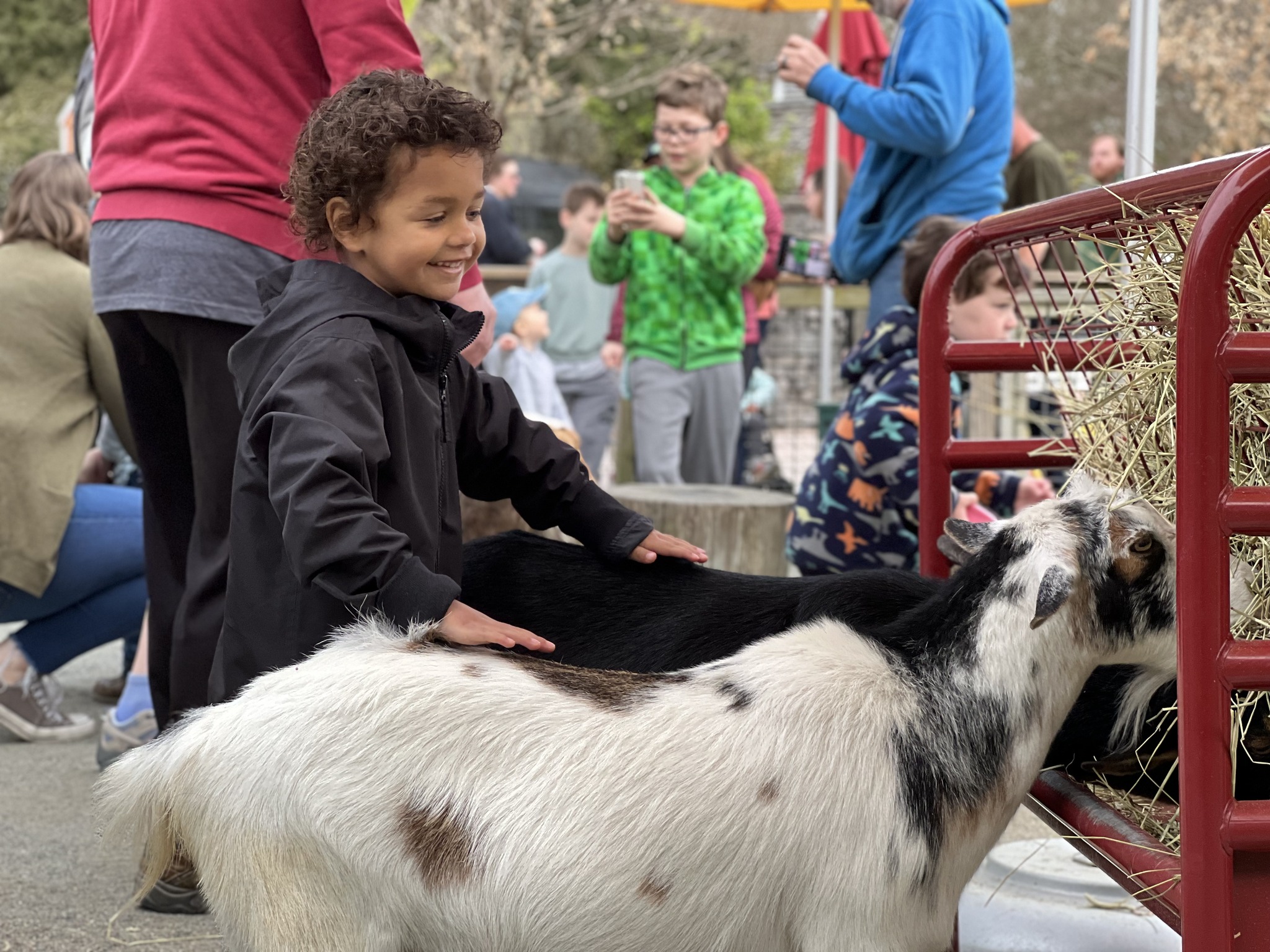 Spring Break Virginia Zoo