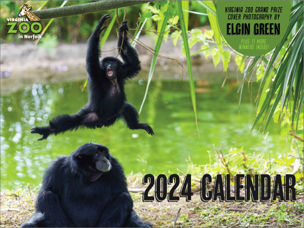 2025 CALENDAR CONTEST Virginia Zoo