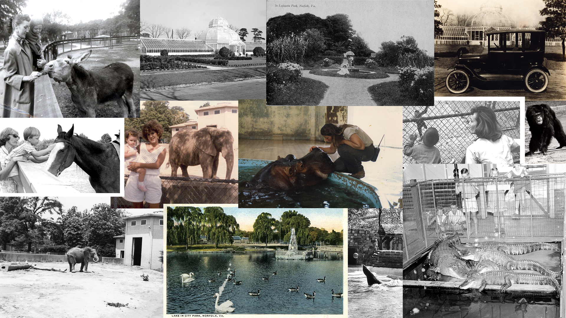 Facilities • Virginia Zoological Park, image size:1920x1080