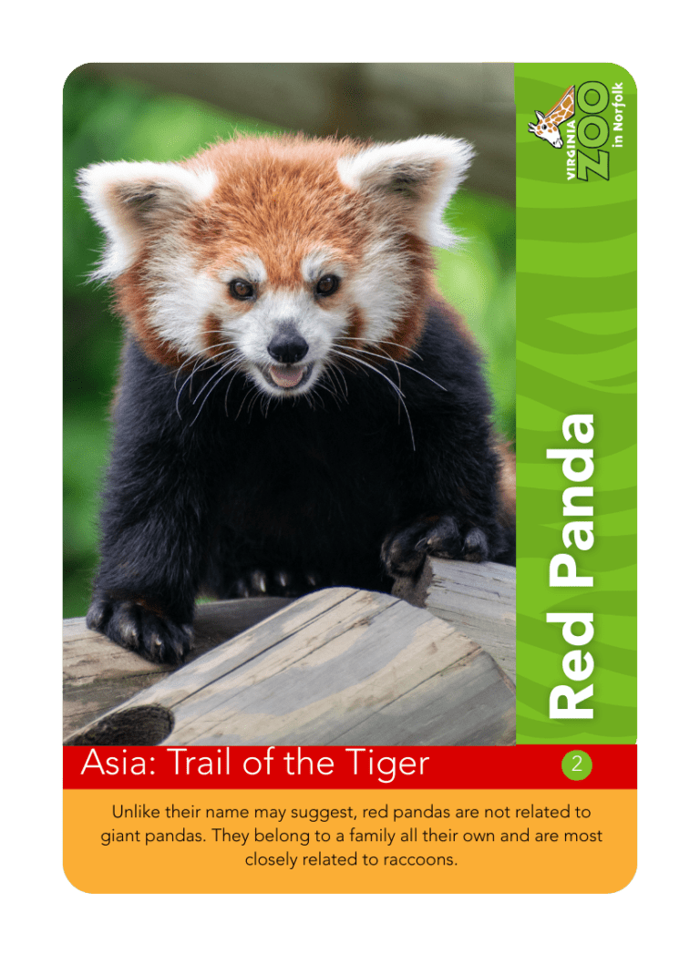 Zoo Rack Card Visit the Virginia Zoo Animals Today!